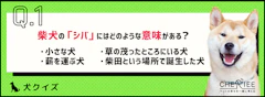 記事カテゴリ第5位
