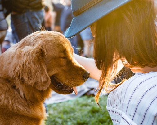 【研究紹介】犬は人や他の犬の行動を模倣できるのかのアイキャッチ画像