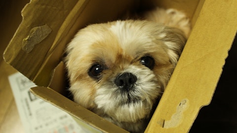 捨て犬から「働く犬」として大活躍!転身を遂げた4頭の犬たちのアイキャッチ画像