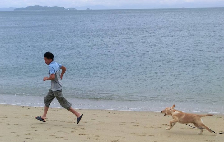 ドッグトレーナー,ニュース,パピートレーニング,動物愛護,商品紹介,犬,猫,社会化,飼い方,飼う前