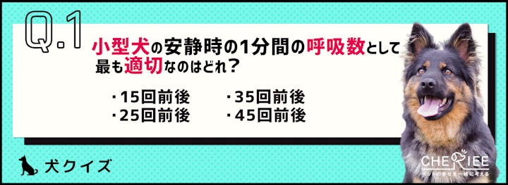 【クイズ】愛犬の普段の呼吸数を把握してる？荒い場合は病気の可能性ものアイキャッチ画像