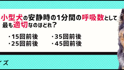 【クイズ】愛犬の普段の呼吸数を把握してる?荒い場合は病気の可能性ものアイキャッチ画像