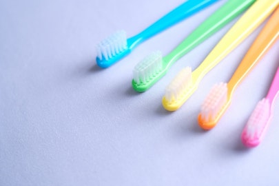 猫にも歯みがきが必要?歯周病を予防して元気に長生き!のアイキャッチ画像