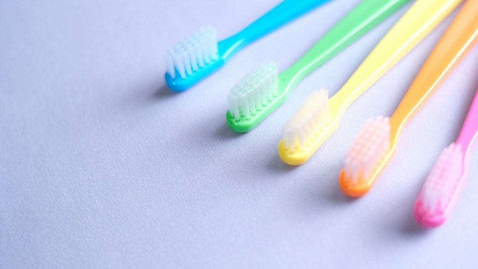 猫にも歯みがきが必要?歯周病を予防して元気に長生き!