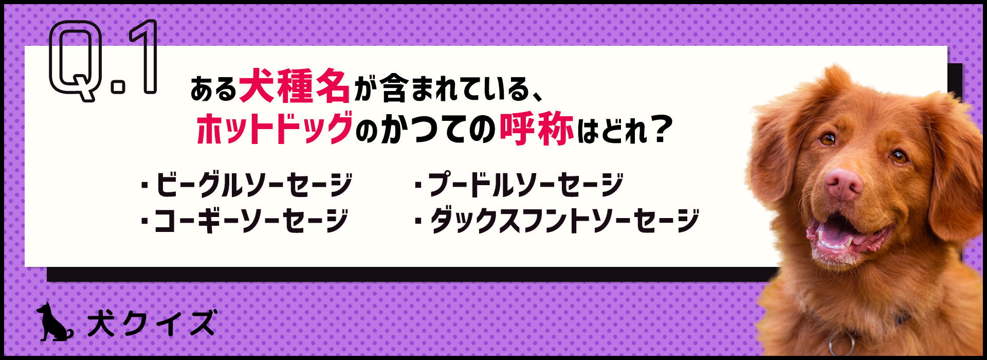 【クイズ】犬は関係ある？「○○ドッグ」が含まれる言葉の雑学