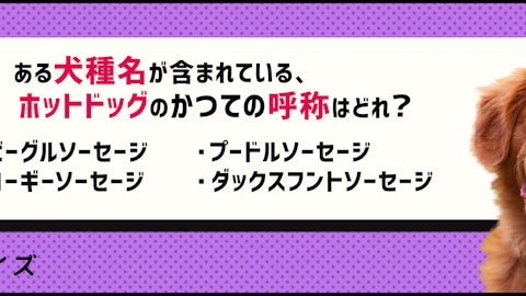【クイズ】犬は関係ある?「○○ドッグ」が含まれる言葉の雑学のアイキャッチ画像