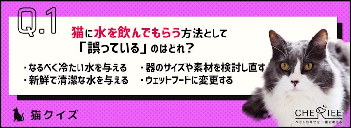 【クイズ】冬こそ気をつけたい！猫の脱水を防ぐには？のアイキャッチ画像