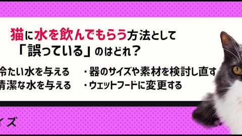 【クイズ】冬こそ気をつけたい!猫の脱水を防ぐには?のアイキャッチ画像