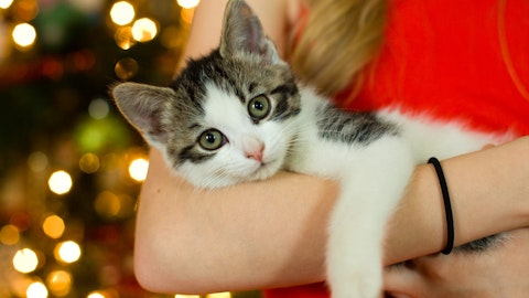 猫と暮らすと癒されて健康になる?!飼い主さんのメリットを紹介のアイキャッチ画像