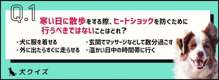 【クイズ】犬もヒートショックは起こる！冬の散歩はひと工夫しよう。のアイキャッチ画像