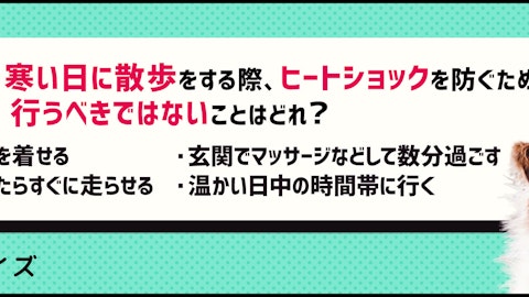 【クイズ】犬もヒートショックは起こる!冬の散歩はひと工夫しよう。のアイキャッチ画像