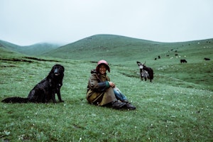 チベット,チベット原産,中国,中国原産,文化,歴史,犬種,犬