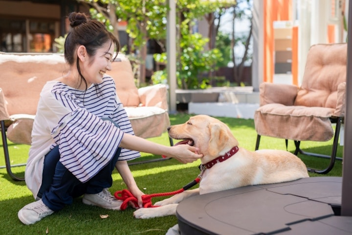 犬,薬,投薬,警戒,カプセル,おやつ,フード,シリンジ