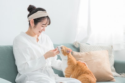 猫に薬を飲ませるにはどうすればいい？コツや注意点を解説のアイキャッチ画像