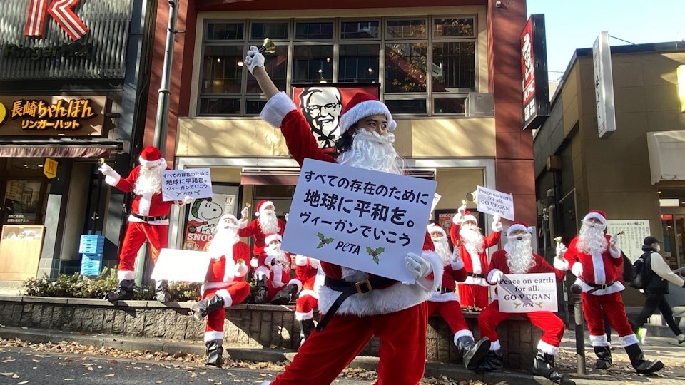 KFCの残虐行為に抗議するためサンタクロースの一団が街にやってきた
