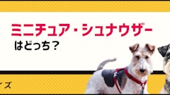 記事カテゴリ第5位