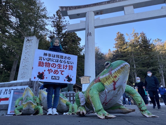 神社のカエル殺しの儀式がPETAの反感を買うのアイキャッチ画像