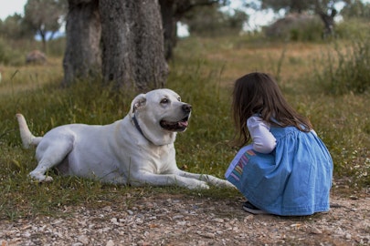 「犬が飼いたい！」子供への5つの質問と保護者へのアドバイスのアイキャッチ画像