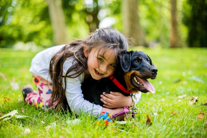 アレルギー,しつけ,散歩,暮らし,犬,飼い方