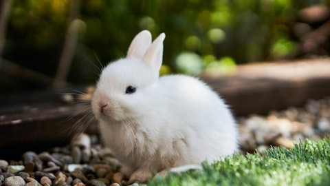 卯年に考える!学校のうさぎ小屋はなぜ減ったのかのアイキャッチ画像