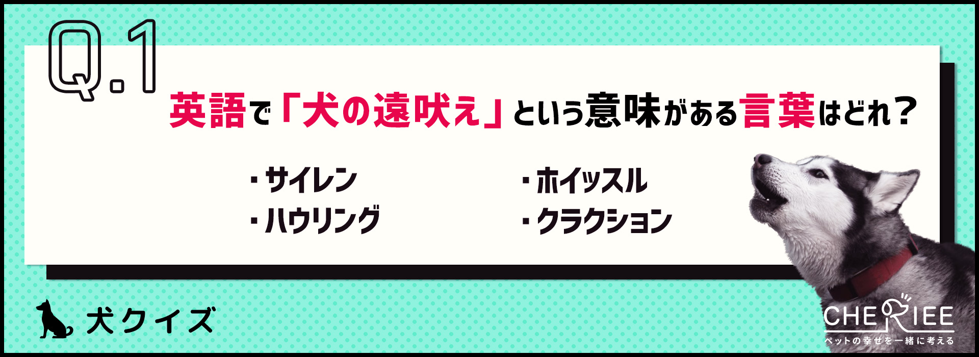 【クイズ】犬が遠吠えをする理由って知ってる？雑学もご紹介！