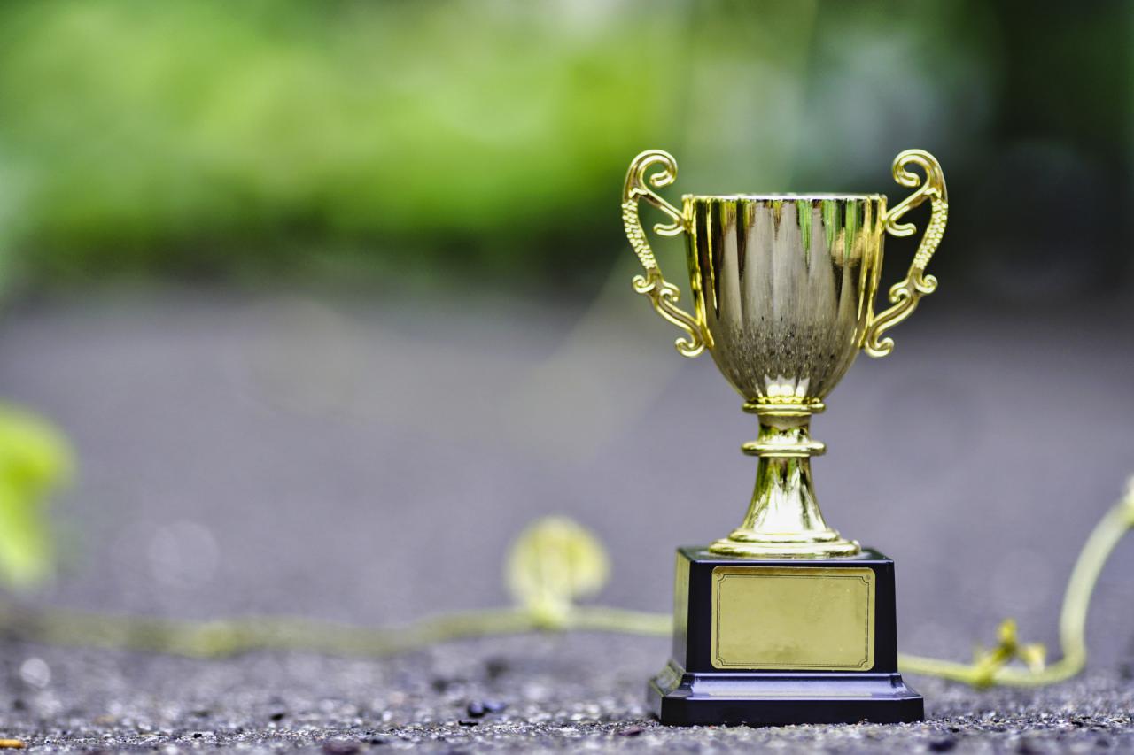 【ギネス世界記録】驚きの記録や特技を持つ猫たち