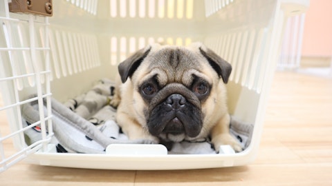 災害時にも役立つ!愛犬とやっておきたい「クレートトレーニング」のアイキャッチ画像