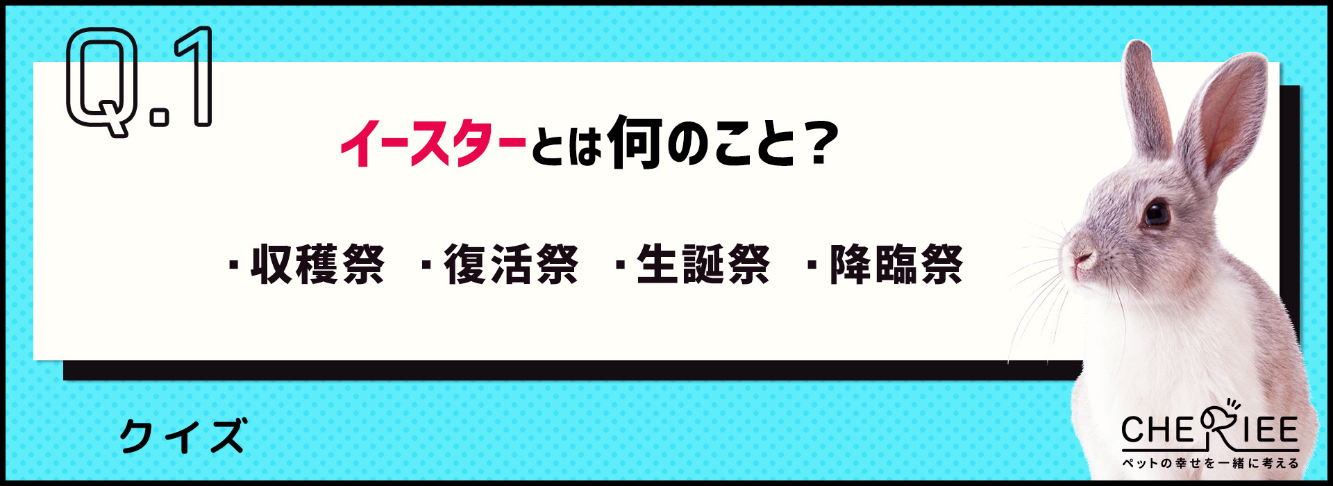 【クイズ】なぜうさぎ？実はよく知らない「イースター」の由来