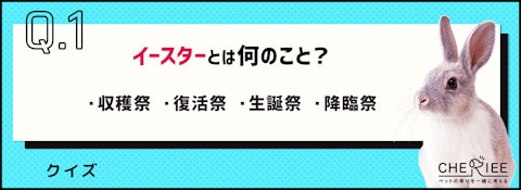 【クイズ】なぜうさぎ？実はよく知らない「イースター」の由来のアイキャッチ画像