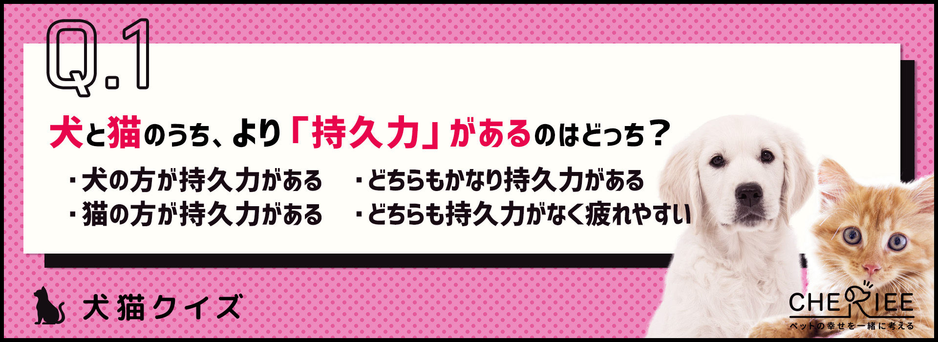 【クイズ】共通点も違いもある！犬と猫の体の特徴