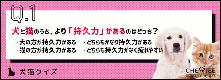 【クイズ】共通点も違いもある！犬と猫の体の特徴のアイキャッチ画像