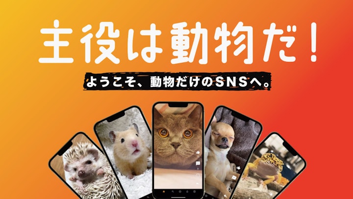 2023年3月19日(日)より日本最大級の縦型ビジョンにて 動物専門SNS『Tier』PR動画の放映を開始！のアイキャッチ画像