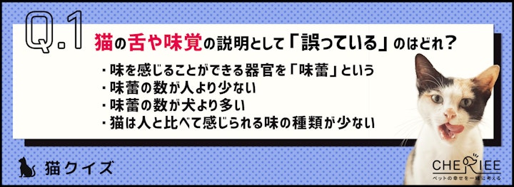 【クイズ】人や犬とはここが違う！猫の舌と味覚の特徴のアイキャッチ画像