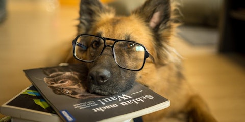 吠える犬は○○しない!犬に関する世界のことわざ・慣用句のアイキャッチ画像