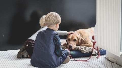 病院で働く犬・ファシリティドッグの役割と今後の課題のアイキャッチ画像