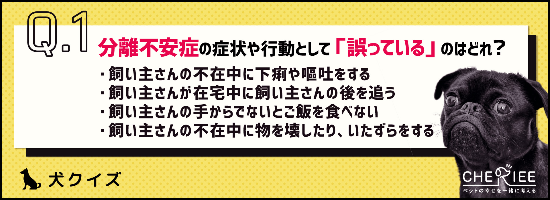 【クイズ】愛犬は大丈夫？アフターコロナのお留守番問題解決法