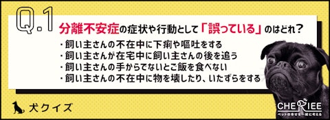 【クイズ】愛犬は大丈夫?アフターコロナのお留守番問題解決法のアイキャッチ画像