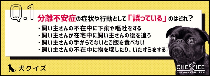 【クイズ】愛犬は大丈夫？アフターコロナのお留守番問題解決法のアイキャッチ画像