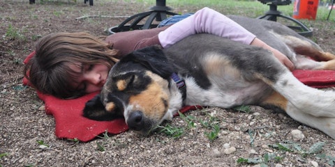 愛犬との暮らしを見直そう!アニマルウェルフェア「5つの自由」とはのアイキャッチ画像