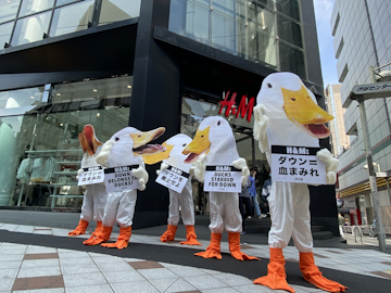 ダウン業界の暴露話でH&Mに羽根を逆立て怒る「鳥」たちのアイキャッチ画像