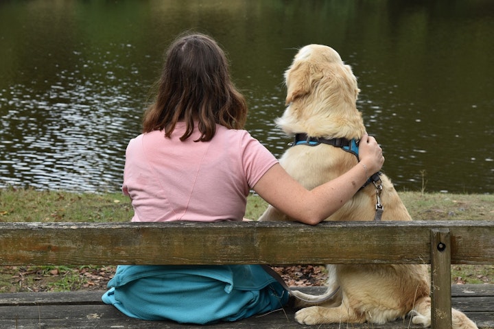 イギリス,ドイツ,フランス,ランキング,人気犬種,犬種