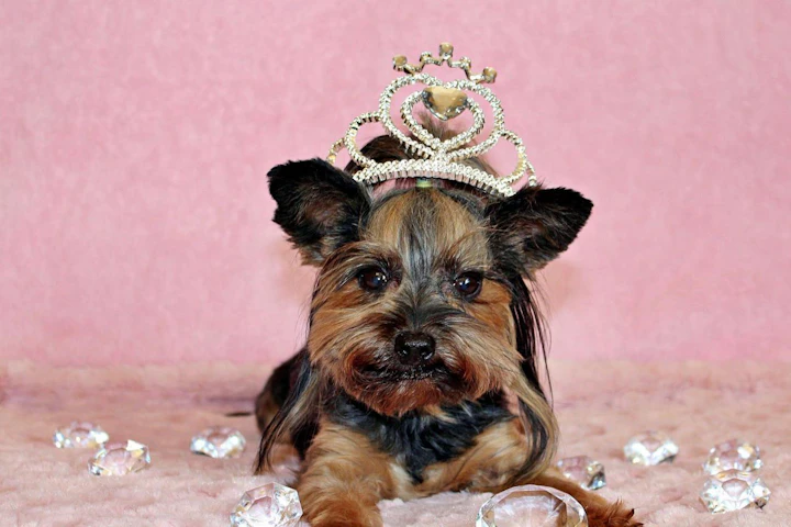 日本は意外なあの犬！世界の「国犬」とペット事情をご紹介 - CHERIEE あにまるマガジン