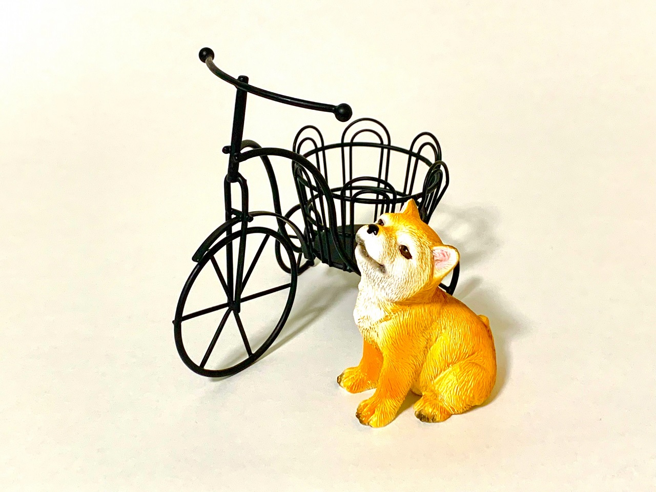 犬の自転車散歩はリスクがたくさん!!道路交通法違反になることも