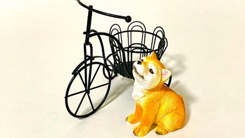 犬の自転車散歩はリスクがたくさん!!道路交通法違反になることものアイキャッチ画像