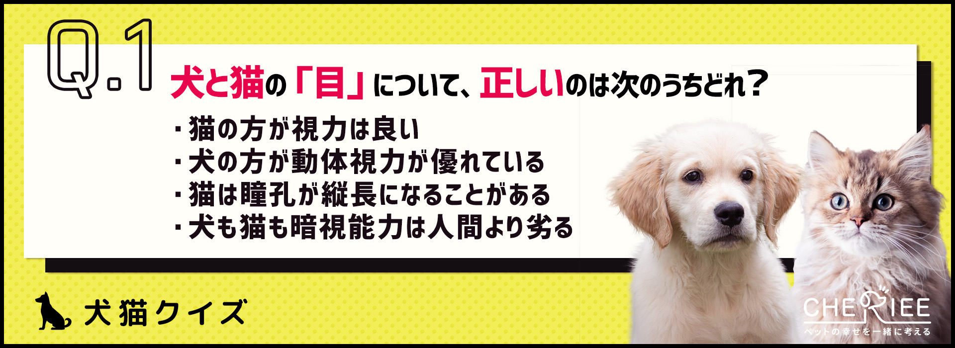 【クイズ】同じようで意外と違う？！犬と猫の体のつくり