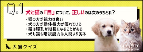 【クイズ】同じようで意外と違う？！犬と猫の体のつくりのアイキャッチ画像