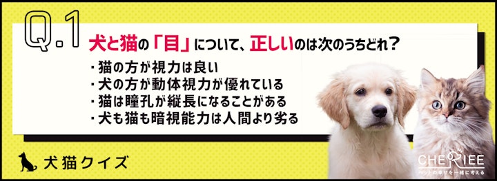 【クイズ】同じようで意外と違う？！犬と猫の体のつくりのアイキャッチ画像