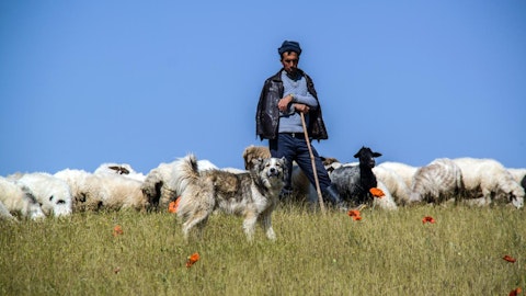 働く犬たちを一挙にご紹介!人々を助けるワーキングドッグとはのアイキャッチ画像