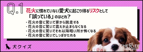 【クイズ】花火大会前にやっておきたい愛犬の花火慣れのアイキャッチ画像