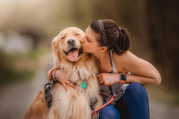 心得,特徴,犬,犬の十戒,猫,猫の十戒,詩,飼い方